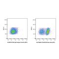 CD16/CD32 Rat mAb (APC)