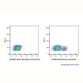 CD23 Mouse mAb (FITC)