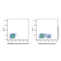CD23 Mouse mAb (PE)