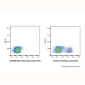 CD23 Mouse mAb (APC)