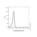 Rabbit IgG (PE)