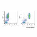 CD10 Mouse mAb (Biotin)