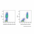 CD10 Mouse mAb (APC)