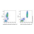 CD13 Mouse mAb (Biotin)