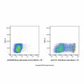 CD8 Mouse mAb (Biotin)