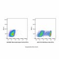 CD8 Mouse mAb (FITC)