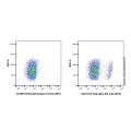 CD8 alpha Rat mAb (APC)