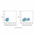 CD16 Mouse mAb (PE)