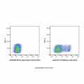 CD16 Mouse mAb (APC)