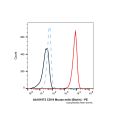 CD19 Mouse mAb (Biotin)
