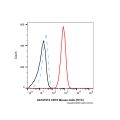CD19 Mouse mAb (FITC)