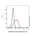 STX-100 (anti-Integrin aVb6)