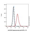 Depatuxizumab (anti-EGFR)