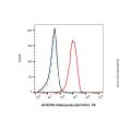 Cofetuzumab (anti-CCK4)