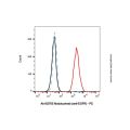 Modotuximab (anti-EGFR)