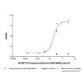 Cergutuzumab (anti-CEACAM5)