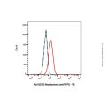 Marstacimab (anti-TFPI)