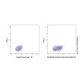 Camidanlumab (anti-CD25)