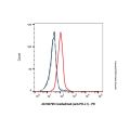 Cosibelimab (anti-PD-L1)