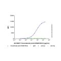 Cevostamab (anti-CD3&FCRL5)