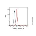 Elgemtumab (anti-ERBB3)