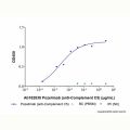 Pozelimab (anti-Complement C5)