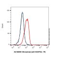 Olinvacimab (anti-VEGFR2)