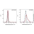 Sasanlimab (anti-PD-1)