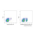 Ravagalimab (anti-CD40)