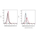 Cadonilimab (anti-PD-1&CTLA4)