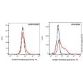 Revdofilimab (anti-CD134)
