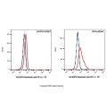Manelimab (anti-PD-L1)