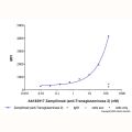 Zampilimab (anti-Transglutaminase 2)
