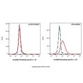 Pimivalimab (anti-PD-1)