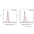 Finotonlimab (anti-PD-1)