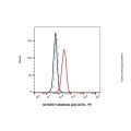 Uliledlimab (anti-CD73)