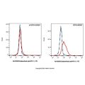 Ezabenlimab (anti-PD-1)