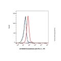 Socazolimab (anti-PD-L1)