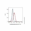 Briquilimab (anti-CD117)