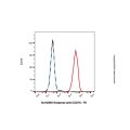 Ifinatamab (anti-CD276)