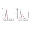 Acasunlimab (anti-4-1BB&PD-L1)