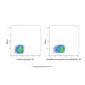 Linvoseltamab (anti-BCMA&CD3)