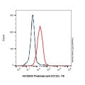 Pivekimab (anti-CD123)