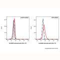 Inolimomab (anti-IL2RA)