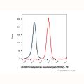 Datopotamab deruxtecan (anti-TROP2)