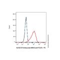 Farletuzumab-MMAE (anti-FOLR1)