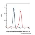 Vorsetuzumab mafodotin (anti-CD70)