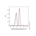 Dalotuzumab (anti-IGF1R)