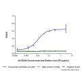 Foravirumab (anti-Rabies virus GP)