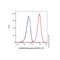 Intetumumab (anti-ITGAV)